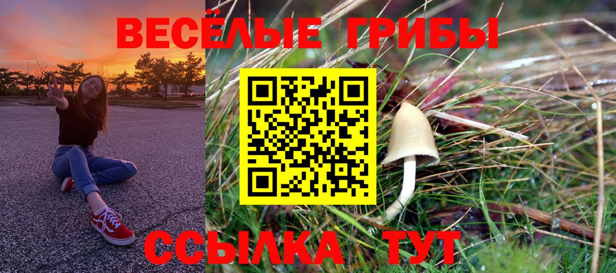 Галлюциногенные грибы Psilocybe  Псилоцибиновые грибы Magic Shrooms  Сарапул  Вход с VPN 